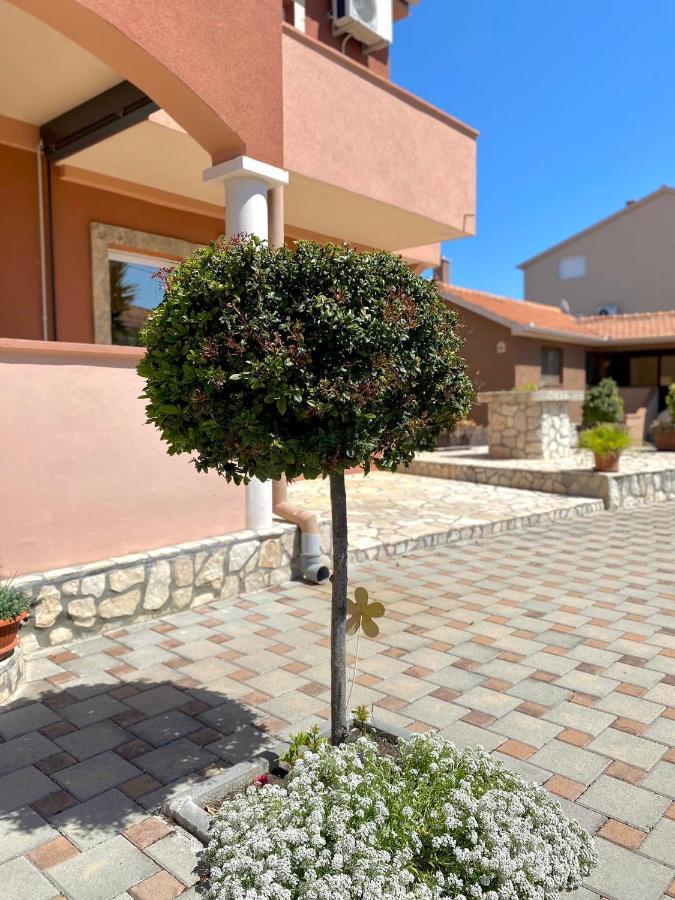 Apartmani Goga Биоград-на-Мору Экстерьер фото